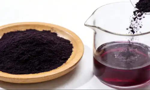 Why Choose Indigo Fruit Extract Powder for Natural Color?